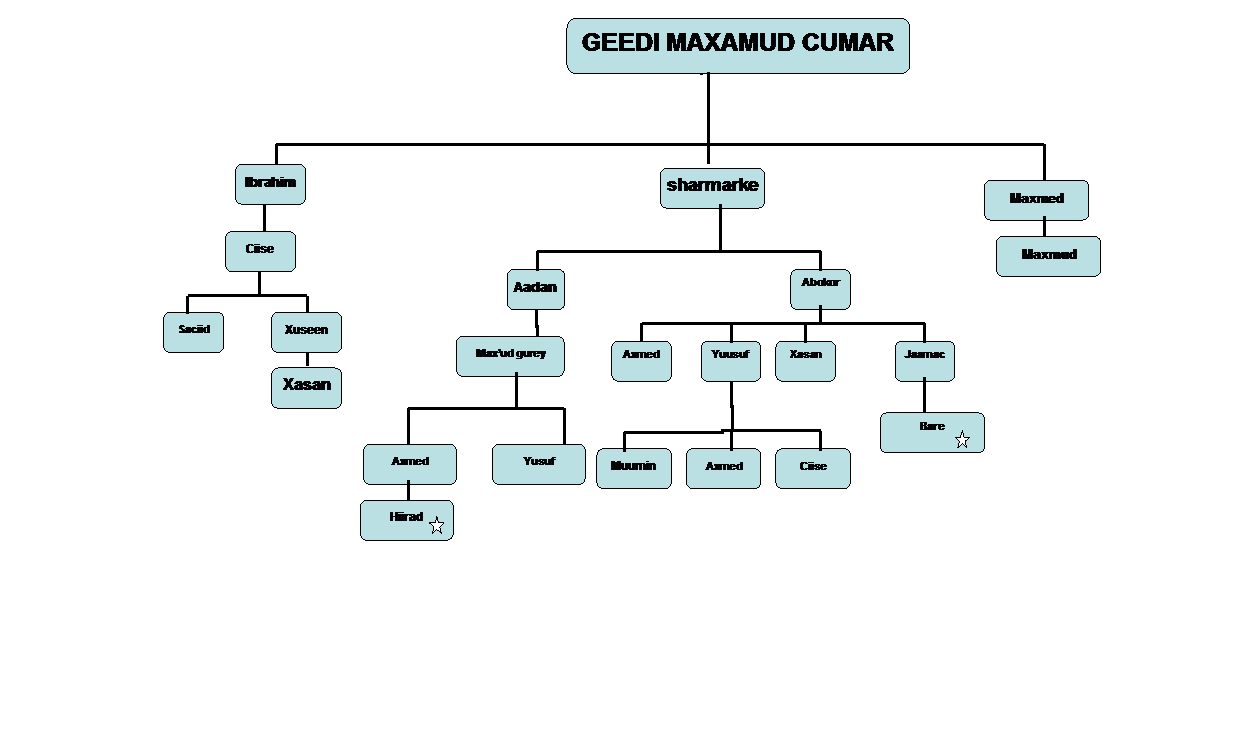 Organization Chart