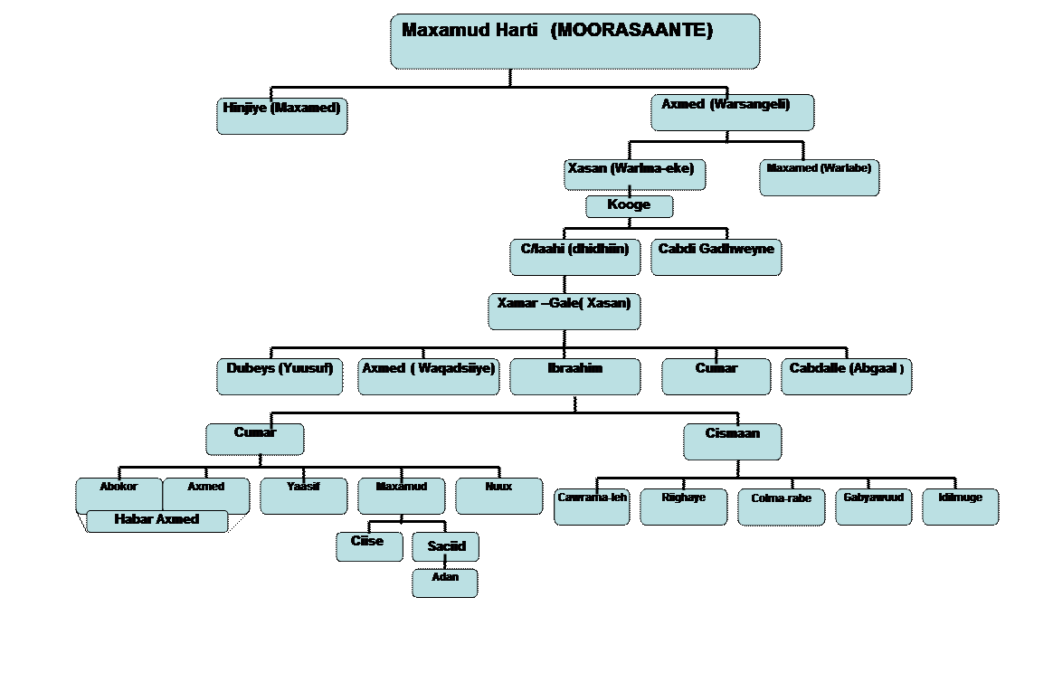 Organization Chart