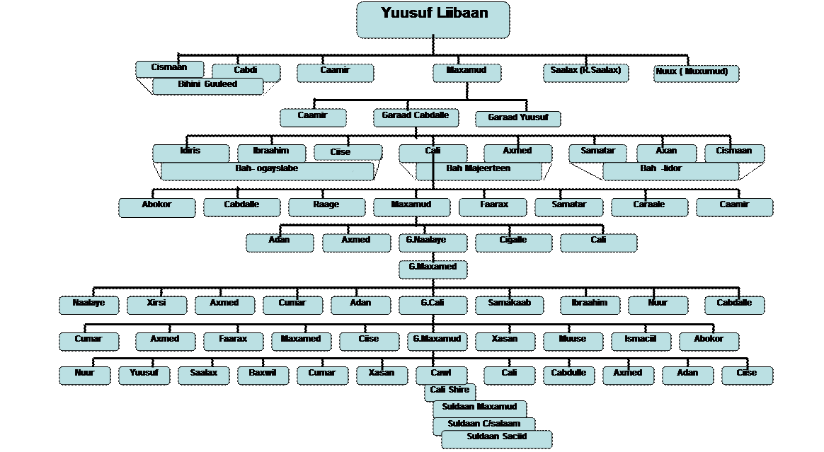 Organization Chart